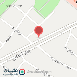 عکس صافکاری نقاشی شاهد