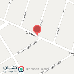 عکس چلو کبابی شیر حسین