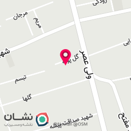 عکس کلینیک زیبایی و ماساژ الماس شه