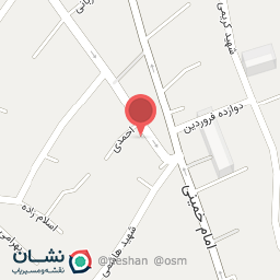 عکس فروشگاه سیستم های امنیتی شایان سیستم