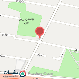 عکس اتو سرویس خندان