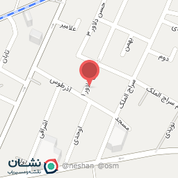 عکس دزدگیر آرین حفاظ