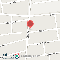 عکس دکتر حمیده محمدی