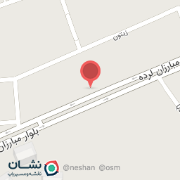 عکس پیتزا برگر مستر