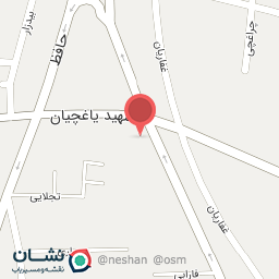 عکس زینگ پزی ونک