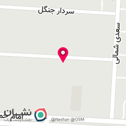 عکس نمایندگی رامون 