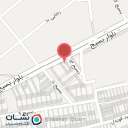 عکس نگین خودرو