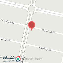 عکس پیتزا ساندویچ روژان