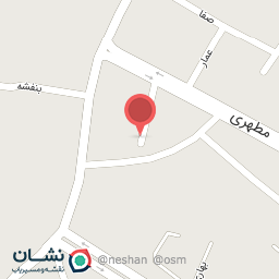 عکس پرنده فروشی 