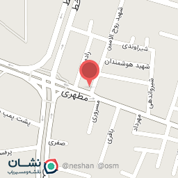 عکس فست فود همبرجان