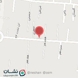 عکس آقای مکانیک 