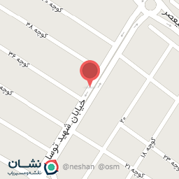 عکس مرغ و ماهی شاکریان