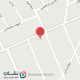 عکس کیف و کفش صادقی