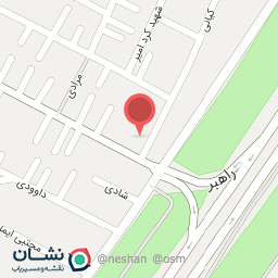 عکس مکانیکی استاد بهزاد