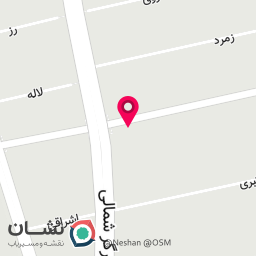 عکس خدمات تخصصی کاشت ناخن هدیه