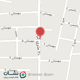 عکس کیف و کفش شاهینی