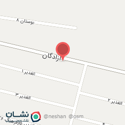 عکس کارشناسی رنگ و نقاشی علی میرزایی