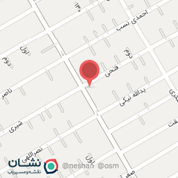 عکس گل فروشی آزالیا