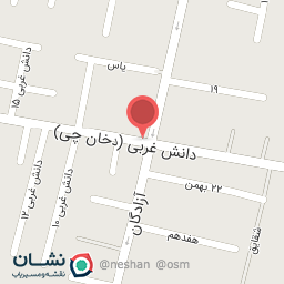 عکس الکتریکی سلگی