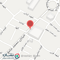 عکس پرده سرای محمود