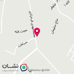 عکس صافکاری نقاشی نیما و سعید