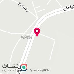 عکس دیتیلینگ و تشخیص رنگ نانوگاراژ لاهیجان