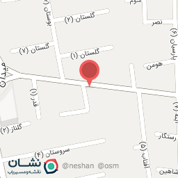 عکس موبایل رادین، نوین سل