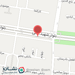 عکس شیر مرد