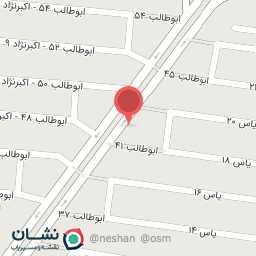 عکس سکه مهدی