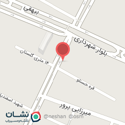 عکس کیلومتر سازی علیزاده