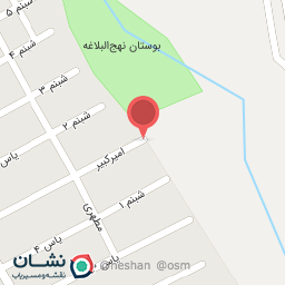 عکس شیر الات خروشان