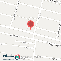 عکس مسجد علی ابن موسی الرضا