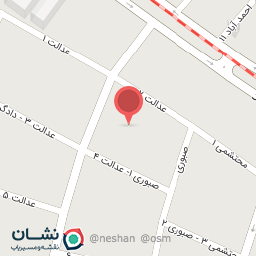 عکس دکتر لیلی حفیظی