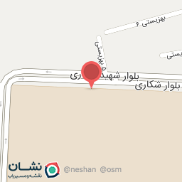 عکس گل فروشی رز زرد