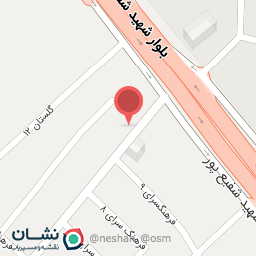 عکس سوپر گوشت زکی پور