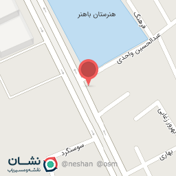 عکس اتوسرویس علی حیدر