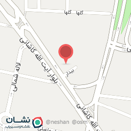 عکس دکتر امیر عباس برهانی