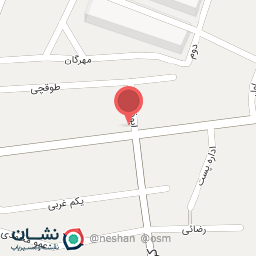 عکس مرغ زربال عباسی