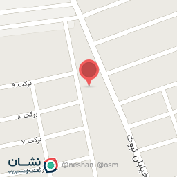 عکس قالی شویی نبوت