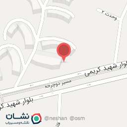 عکس پیتزا آبشار