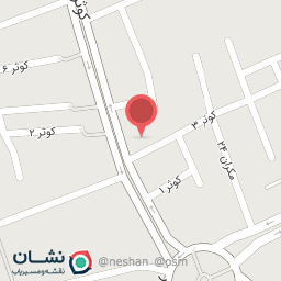 عکس کفش ملت