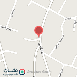 عکس گالری گل کاملیا