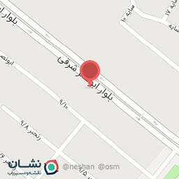 عکس پیتزا برگر ۱۰۱