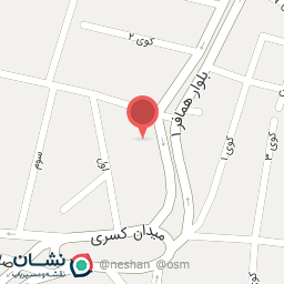 عکس غذای آماده شقایق