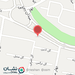 عکس لوازم آرایشی گیسو