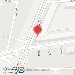 عکس پیتزا آتبین