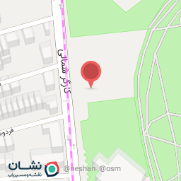 عکس پوشاک سنتی و هنری سل آرت