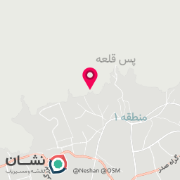 عکس سبزی خردکنی خانگی مادر با