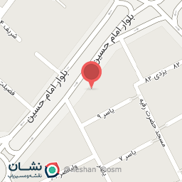 عکس پیتزا منجی