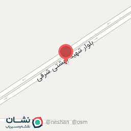 عکس پاچینی و مرغ بریان عرفان